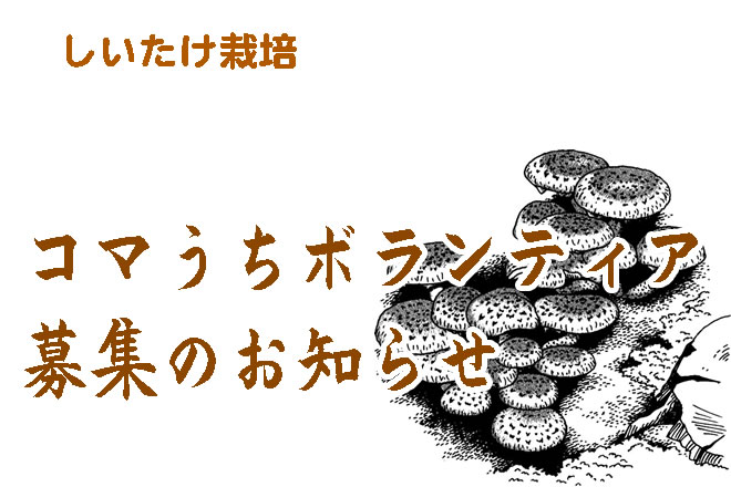 落ち葉集積ボランティア募集のお知らせ